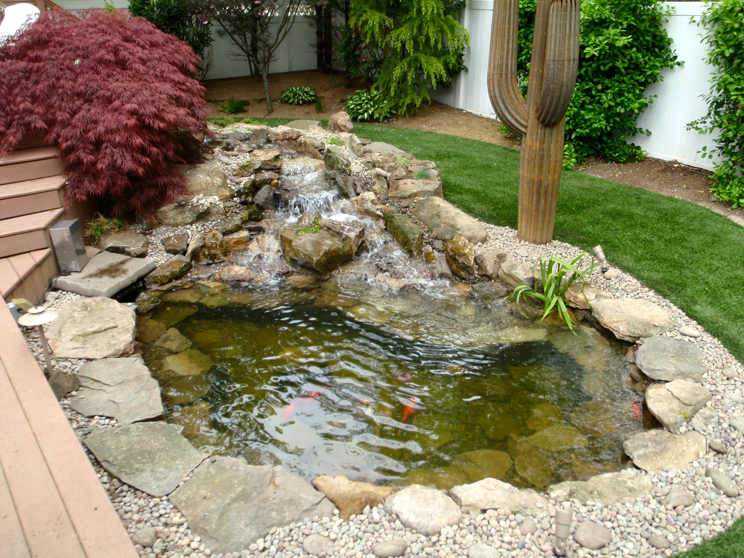 Pond Re-Build | The Fish Guy | Pond Maintenance | Aquarium Maintenance ...