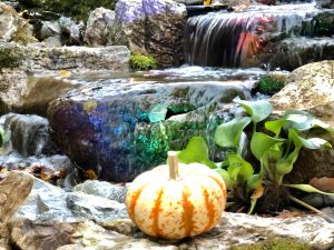 Pondless Waterfall